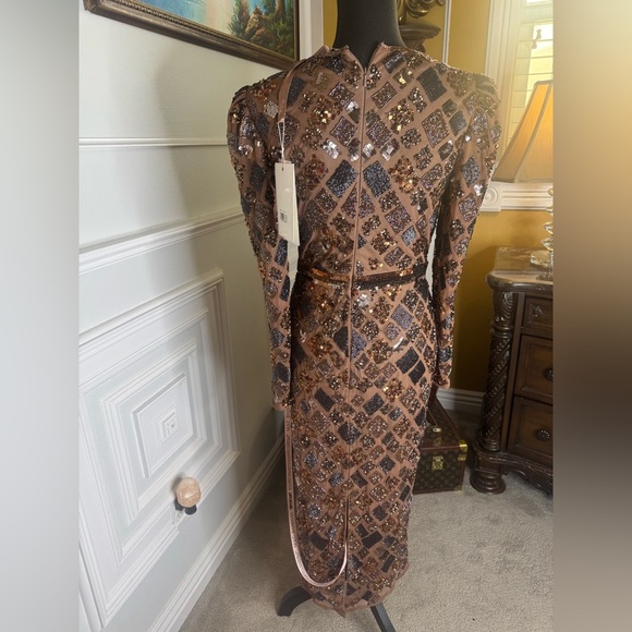 Brown Geo Embellished Midi Sheath Dress - Picture 7 of 15